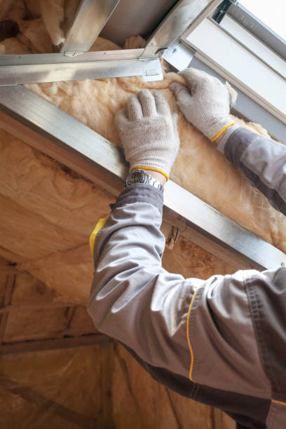 Trusted Forreston, IL Insulation Experts